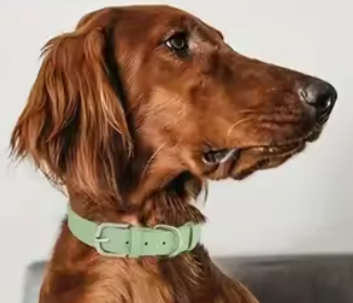 Mint Collar